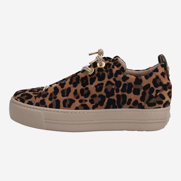 Paul Green Leopard Trainer -  5317026