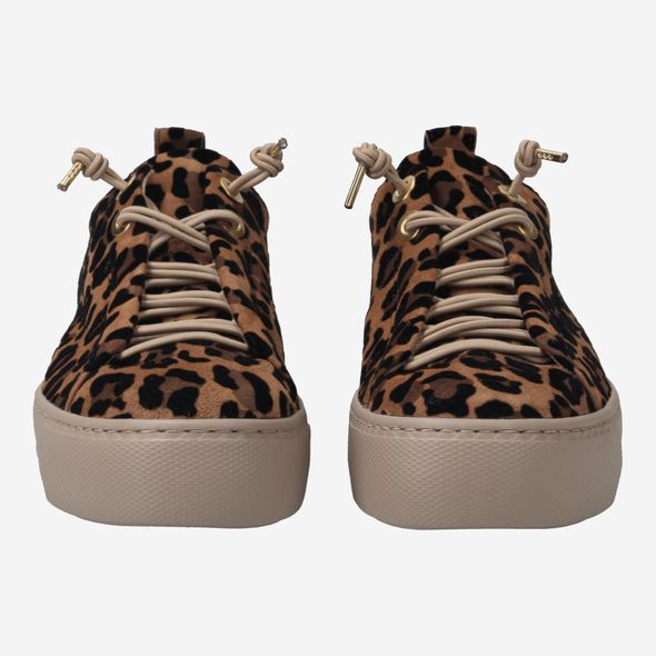 Paul Green Leopard Trainer -  5317026