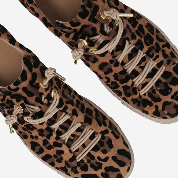 Paul Green Leopard Trainer -  5317026